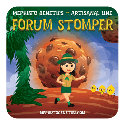 Mephisto Genetics Forum Stomper Auto